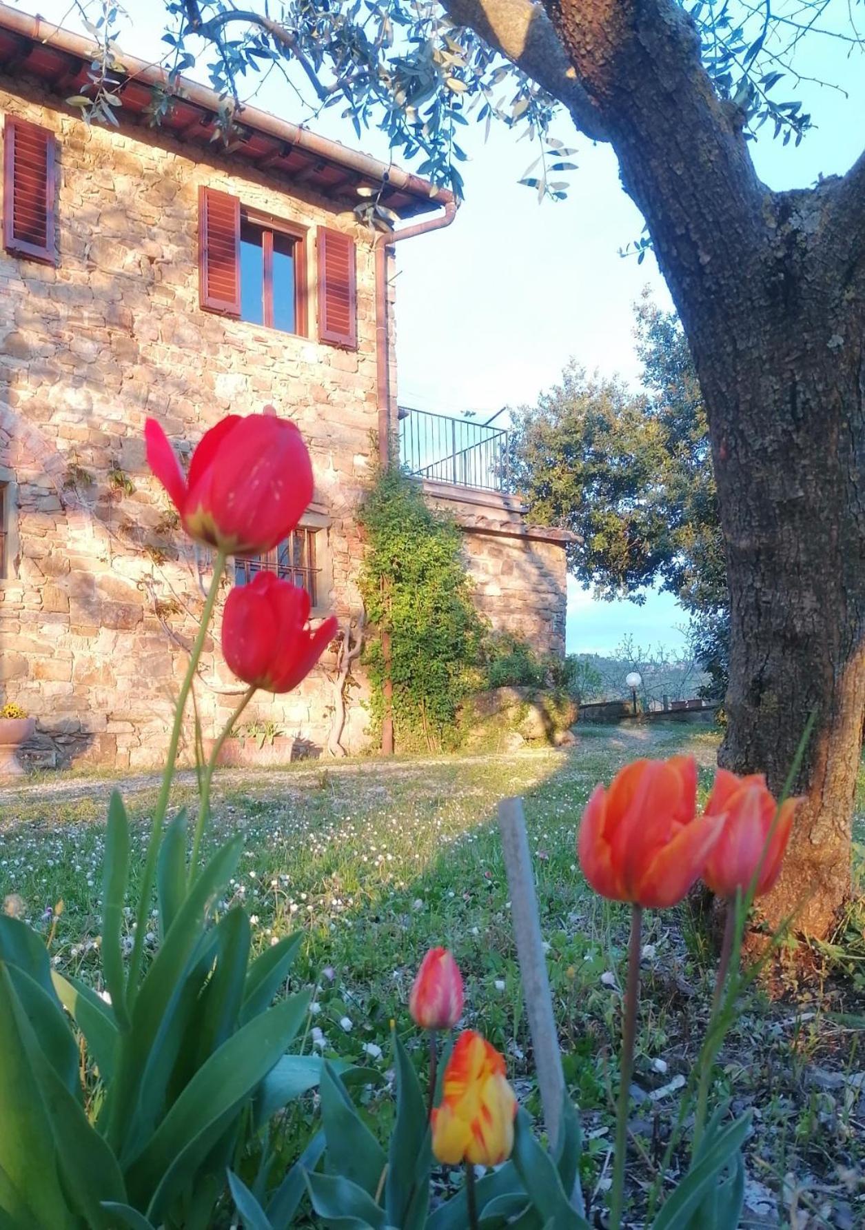 Casa Gioia Lägenhet Greve in Chianti Exteriör bild